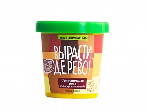 Набор для выращивания растений - Гибискус - Сумасшедшая роза (Зеленый Капитал, zk-047)